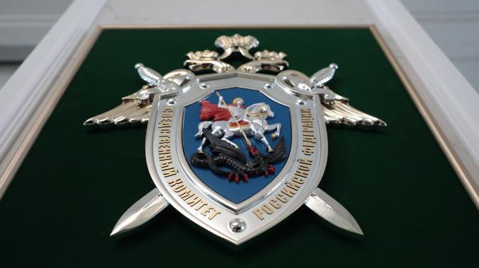В России объявили в розыск судью, выдавшую ордер на арест Владимира Путина