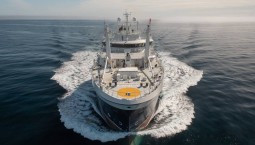 Россия – лидер по добыче тихоокеанских лососей