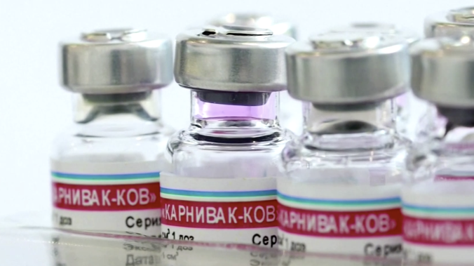 В России создали вакцину от COVID-19 для животных