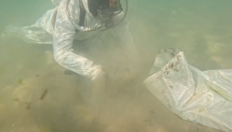 Водолазы продолжают очищать от мазута морское дно в Анапе