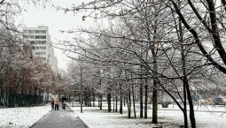 Москву накрыл первый в этом сезоне снег с дождём