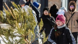 В Ростове-на-Дону прошёл фестиваль по метанию ёлок