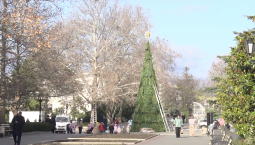 Ёлку установили на Приморском бульваре в Севастополе 