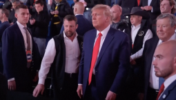 Трамп: НАТО без США – «бумажный тигр»