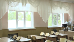 В школах Севастополя прервали уроки из-за ОРВИ 