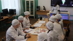 Высшую медшколу в Севастополе сформируют к 2030 году