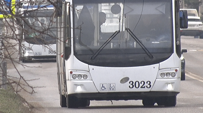 «Севэлектроавтотранс» вернулся в Байдарскую долину