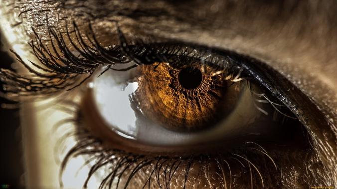 Ученые смогли определить продолжительность жизни по сетчатке глаза