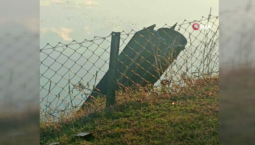 Над Турцией уничтожена баллистическая ракета