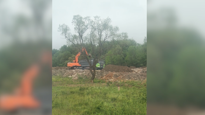  Заказник «Байдарский» завалили грунтом: возбуждено дело