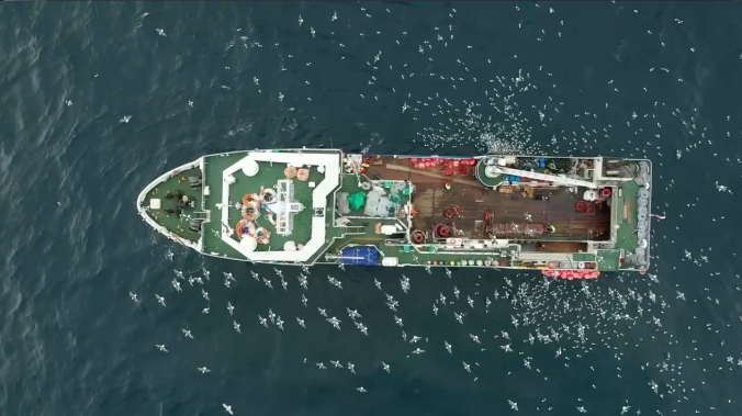 На Юге России рыбаки выловили 6,1 тысяч тонн хамсы