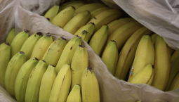 С 1 марта в России вводится новый ГОСТ на бананы