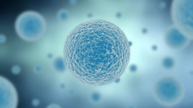 Ученые совершили прорыв в биотехнологии, создав живую клетку из синтетического генома