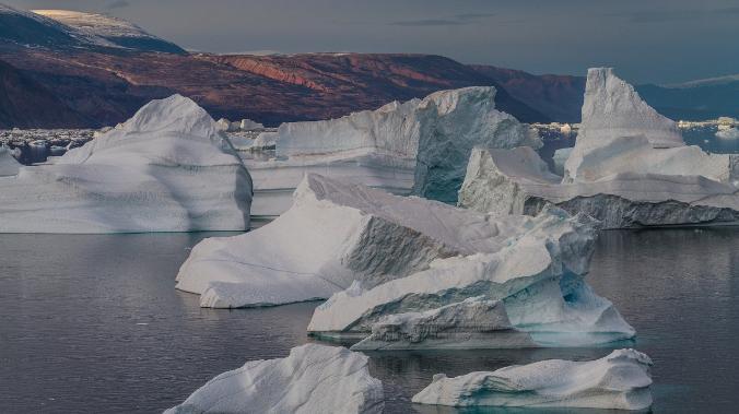 Подледный лес: в Гренландии ученые обнаружили древние формы жизни на глубине 1,5 километра