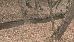 Пик паводкового периода в Севастополе миновал