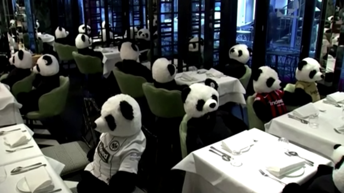 Плюшевый протест: немецкий ресторан принял панд