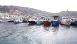 На Госуслугах оформляют покупку маломерного судна