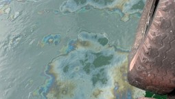 После крушения крана найдены пятна нефтепродуктов