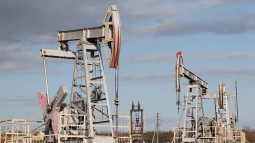 В Словакию возобновили поставки нефти по «Дружбе»