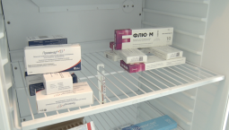 Севастополь закупил 110 000 доз вакцины от гриппа