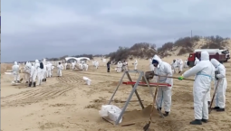 Выбросы мазута найдены от мыса Панагия до Анапы