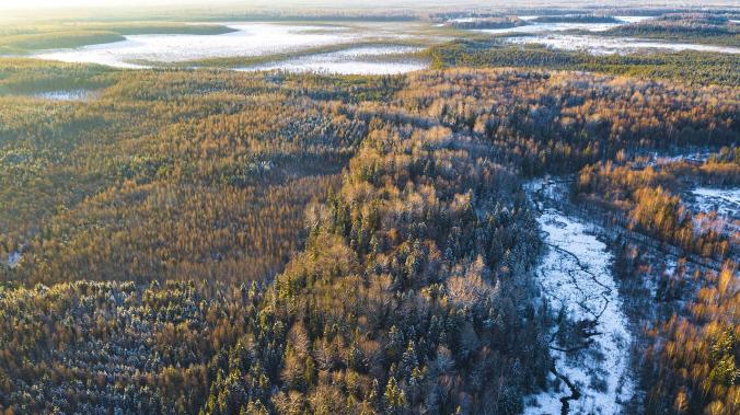 В Запорожской области создан нацпарк «Великий Луг» 