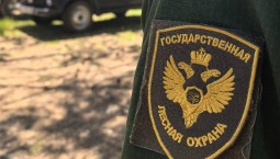 В Севастополе завершается пожароопасный сезон