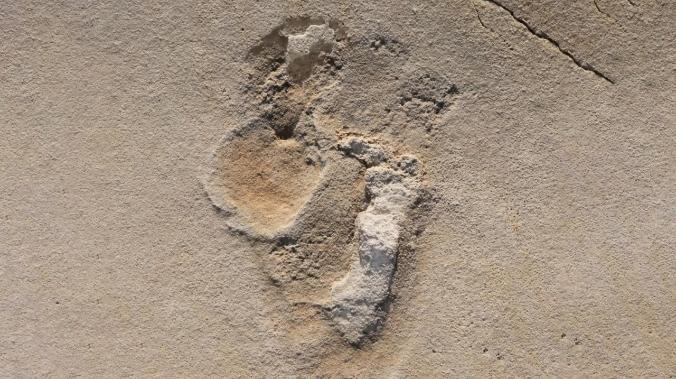 На Крите найдены следы древних людей возрастом 6 млн лет