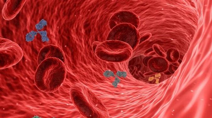 Лекарству от рака крови нашли новое применение в борьбе с COVID-19