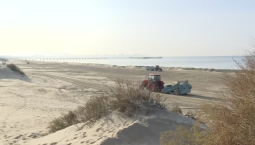 Техника просеивает песок для очистки пляжей Анапы 