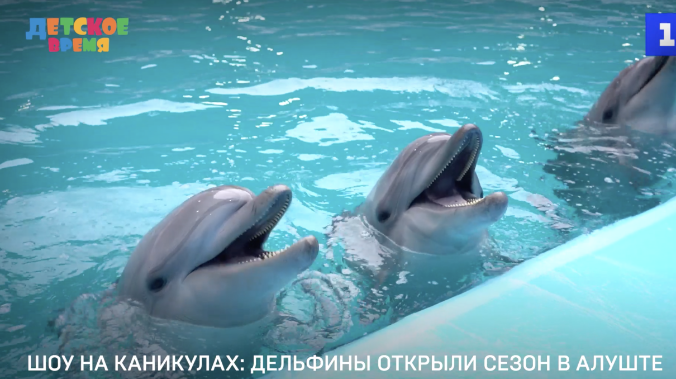 Шоу на каникулах: дельфины открыли сезон в Алуште