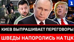 Киев выпрашивает переговоры | Шведы напоролись на ТЦК