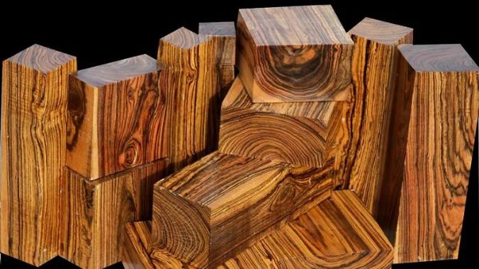 Ученым MIT удалось вырастить древесину в лабораторных условиях