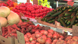 В Севастополе снизились цены на рыбу и «борщевой набор»