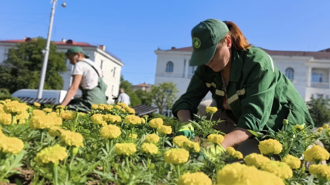 9 000 бархатцев высадили в центре Севастополя