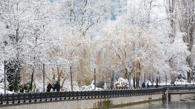 В реках Крыма превышены нормы химического загрязнения