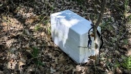 В Севастополе нашли контейнер со взрывчаткой ВСУ