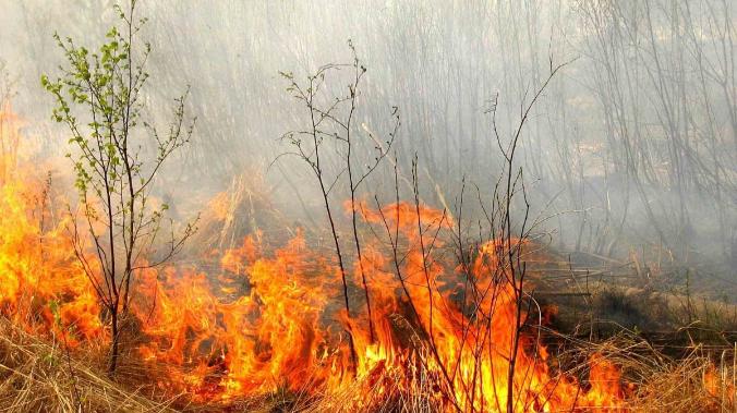 МЧС Крыма предупреждает о чрезвычайной пожарной опасности на территории региона