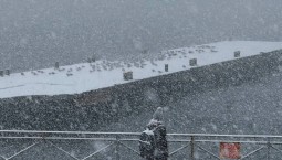 Школьников Ялты отпустили с уроков из-за непогоды