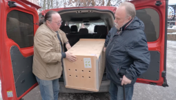 В Ленинградский зоопарк прибыла самка манула