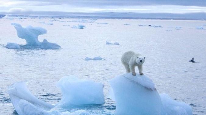 Море Лаптевых впервые не замерзло в этот период