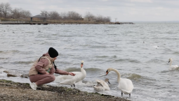 15-16 февраля в Крыму усилится ветер до 25 м/с