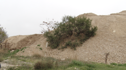  Грунт на Индустриальной уберут по иску прокуратуры