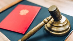 В Севастополе задавившего людей водителя ждёт суд