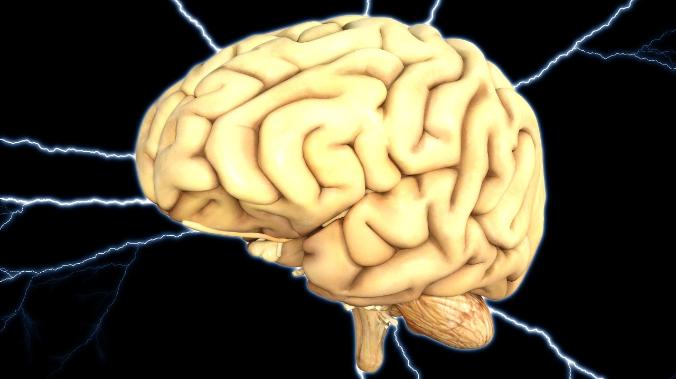 Ученые: мозг потребляет около 20% энергии человека даже во время отдыха
