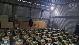 В партии бананов из Эквадора нашли 1,5 тонны кокаина