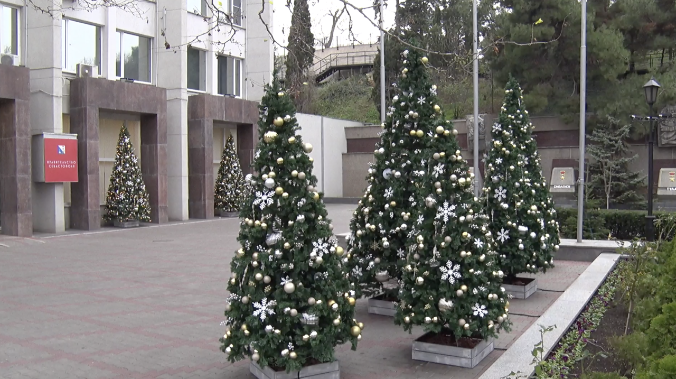 Новогодние ели «выросли» у здания Правительства Севастополя