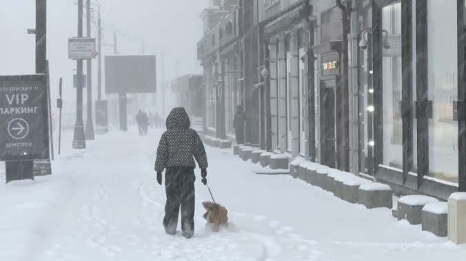 Москву накрыл мощный снежный циклон «Валли» 