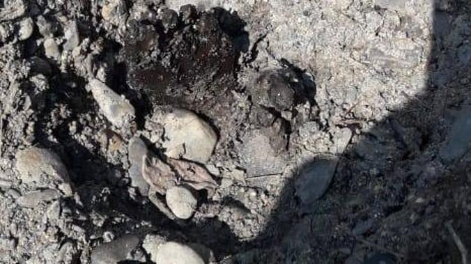 В Магаданской области на кладбище обнаружили покойников без гробов