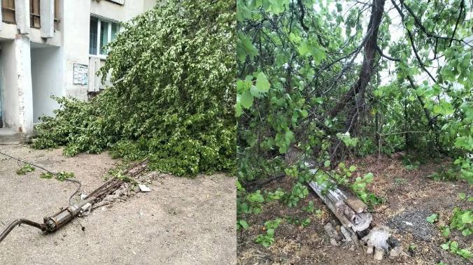 В Севастополь – непогода: ветер валит опоры освещения